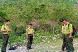 Mường Chà bảo vệ rừng mùa làm nương
