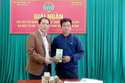 Giải ngân 1 tỷ đồng triển khai Dự án 'Nuôi trâu sinh sản' tại xã Bản Qua
