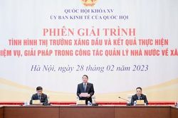 Phó Chủ tịch Quốc hội: Đảo đảm an ninh năng lượng, cân đối nhu cầu xăng dầu trong mọi tình huống