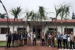 Độc đáo cuộc thi 'hoa hậu' dành cho… cây mía