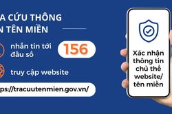 Sử dụng đầu số 156 tra cứu thông tin tên miền, phản ánh cuộc gọi rác