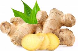 5 thực phẩm bổ thận, bổ máu, tăng sinh lực tốt nhất: Muốn thận khỏe mạnh hãy ăn hằng ngày