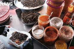 Niềm vui về theo mùa ốc lể