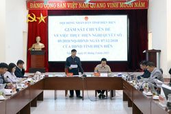 Giám sát việc thực hiện chính sách hỗ trợ phát triển nông – lâm nghiệp tại huyện Điện Biên Đông và Nậm Pồ