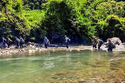 Nhận khoán bảo vệ rừng tự nhiên: Người dân chưa mặn mà