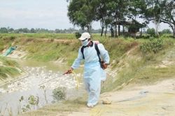 Kinh tế Chủ động không để tái bùng phát dịch cúm gia cầm