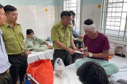 Đồng Nai: 3 kiểm lâm viên giữ rừng bị 'lâm tặc' chém trọng thương