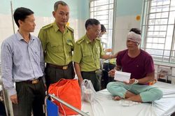 Ba kiểm lâm viên Vườn quốc gia Cát Tiên bị lâm tặc chém trọng thương
