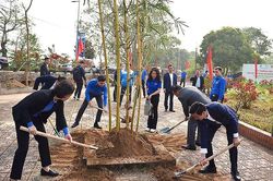 Ra mắt đội tình nguyện hỗ trợ người dân thực hiện dịch vụ công trực tuyến