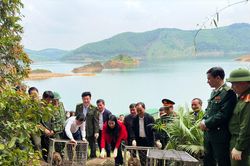 Hà Tĩnh: Tái thả 43 cá thể động vật hoang dã về môi trường tự nhiên