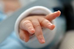 Kinh hãi chó hoang xông vào bệnh viện 'bắt cóc' trẻ sơ sinh
