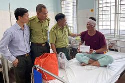 Lâm tặc chém bị thương 3 kiểm lâm của Vườn quốc gia Cát Tiên