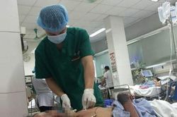 Hà Nội: Ca bệnh đầu tiên trong năm lây vi khuẩn từ lợn
