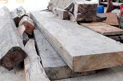 Bắt điểm tập kết gỗ lậu trên khu vực biên giới từ nguồn tin tố giác của người dân