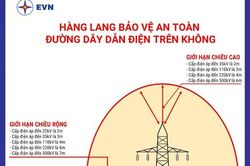 Vẫn còn nhiều vi phạm an toàn lưới điện