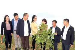Giám sát việc thực hiện chính sách hỗ trợ phát triển sản xuất nông nghiệp trên địa bàn huyện Mường Nhé