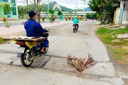 Cần thay mới nắp mương