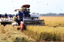 Khoa học, công nghệ và đổi mới sáng tạo nâng cao năng suất ngành nông nghiệp
