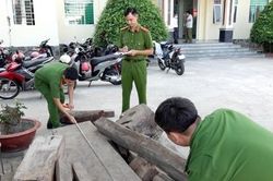An Giang: Tạm giữ nhiều khúc gỗ quý nghi vấn nhập lậu tại khu vực biên giới
