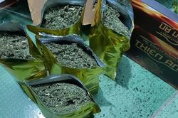 Quảng Ninh: Chặn nguồn 'cung', giảm nguồn 'cầu', chìa khóa giảm thiểu tội phạm ma túy thanh thiếu niên