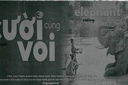 Bảo tồn voi bằng mô hình 'cười với voi'