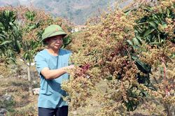 Thay đổi nếp nghĩ, cách làm của người dân vùng cao