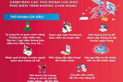Lật tẩy nhiều đường dây lừa đảo trên không gian mạng