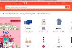 Gần 54 nghìn cá nhân bán hàng online, thu nhập trên 100 triệu đồng/năm phải đóng thuế