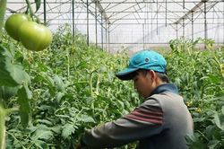 Liên kết để không còn cảnh 'giải cứu'