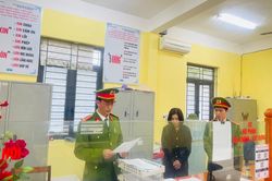 Bắt tạm giam một công chức địa chính xã do có hành vi 'giả mạo trong công tác'