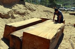 Kon Tum: Phát hiện bãi tập kết gỗ lậu được vùi tinh vi dưới cát