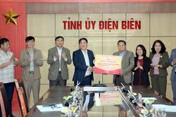 Biên soạn, xuất bản sách về chiến thắng Điện Biên Phủ