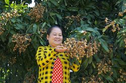 Huyện Châu Thành chú trọng phát triển sản phẩm OCOP