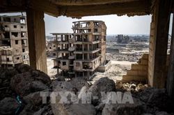 Thế giới Thế giới Ngân hàng Thế giới: Động đất gây thiệt hại 5,1 tỷ USD tại Syria