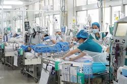 'Liều thuốc' quý cho ngành y