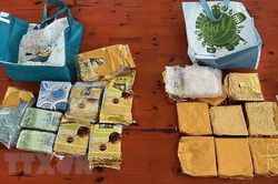 Phát hiện vụ vận chuyển số lượng lớn ma túy từ nước ngoài về Việt Nam