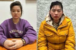 Vụ bé 17 tháng tuổi bị hành hạ: Hai bảo mẫu xin tha thứ