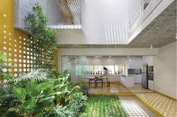 Đời sống Xu hướng thiết kế ưa sinh học trong nhà