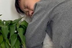 Cảnh cậu bé khóc van xin mèo cưng đừng rụng lông khiến dân mạng xúc động