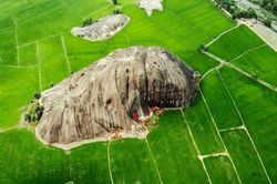 Dạo chơi Đồng Nai mùa lúa xanh rực nắng