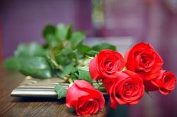 Top 10 loại trái cây tốt cho người cao tuổi