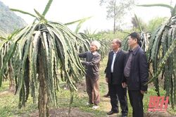 Cựu chiến binh thị xã Bỉm Sơn giúp nhau phát triển kinh tế
