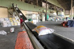 Tháng 2/2023, kim ngạch xuất khẩu gạo của tỉnh tăng 38,6%