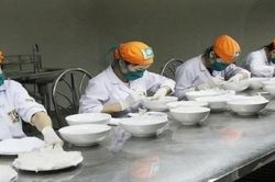 Xuất khẩu tổ yến thu về hàng trăm triệu USD/năm