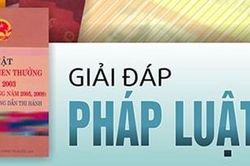 Phạt cả người vi phạm và chủ xe