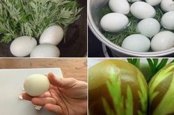 Trứng gà ngải cứu tốt nhưng khi ăn tuyệt đối không mắc sai lầm này