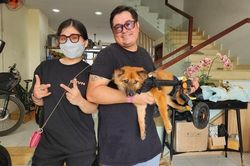 Cặp đôi chồng Tây vợ Việt vẽ tiếp sự sống cho chó mèo khuyết tật