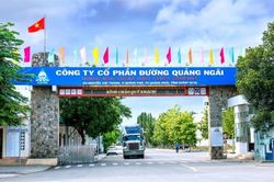 Đường Quảng Ngãi (QNS) chủ thương hiệu Sữa đậu nành Fami, Vinasoy bị ra quyết định thanh tra về thuế