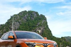 Ông Phạm Nhật Vượng thành lập công ty cho thuê taxi điện vốn 3.000 tỷ đồng
