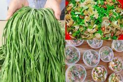 Bí ẩn loại rau đắt hơn thịt đang 'sốt rần rần' chợ mạng